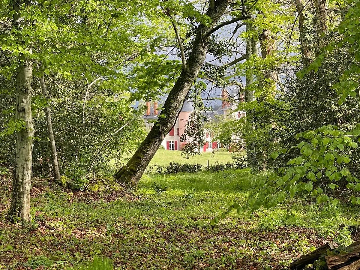 Chateau De La Combe Suites La Celle  Bed & Breakfast La Celle (Auvergne)